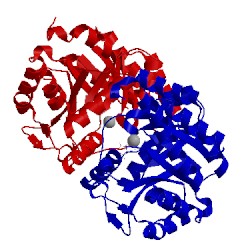 Image of CATH 1pv8