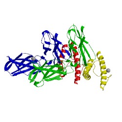 Image of CATH 1pvh
