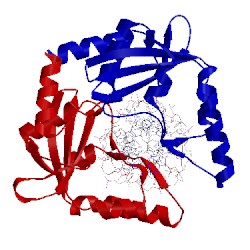 Image of CATH 1pvi