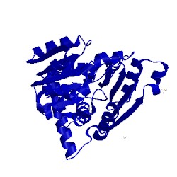 Image of CATH 1pvv