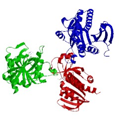 Image of CATH 1pw7