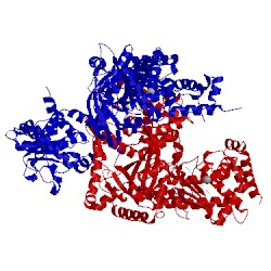 Image of CATH 1pwp