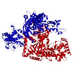 Image of CATH 1pwu