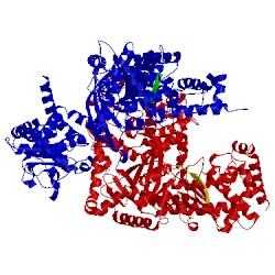 Image of CATH 1pwv