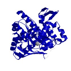 Image of CATH 1pxg