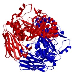Image of CATH 1pz3
