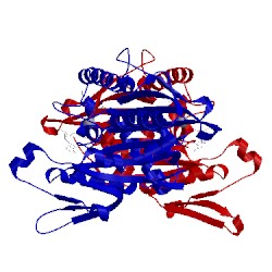 Image of CATH 1q0b