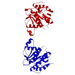 Image of CATH 1q0u