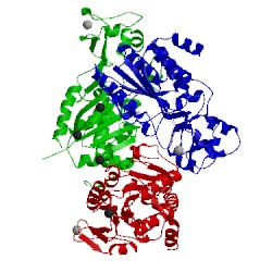 Image of CATH 1q17