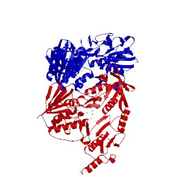 Image of CATH 1q1w