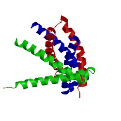 Image of CATH 1q2h