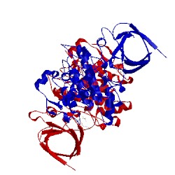 Image of CATH 1q3d