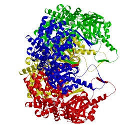 Image of CATH 1q3q