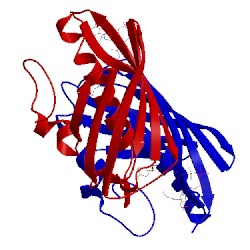 Image of CATH 1q4u