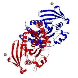 Image of CATH 1q6t