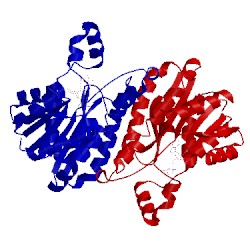 Image of CATH 1q7c