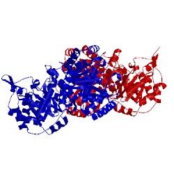 Image of CATH 1q7m