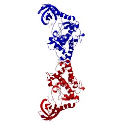 Image of CATH 1q99
