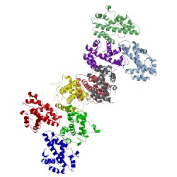 Image of CATH 1q9c