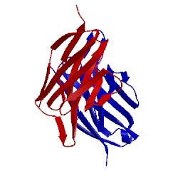 Image of CATH 1qac