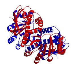 Image of CATH 1qap