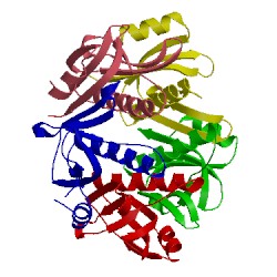 Image of CATH 1qb5