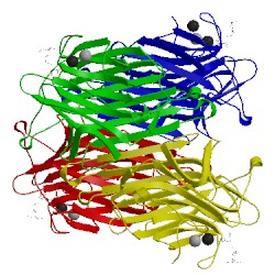 Image of CATH 1qdc