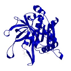 Image of CATH 1qh0