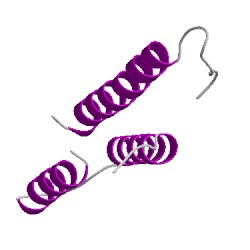 Image of CATH 1qh8B04