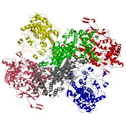 Image of CATH 1qhb