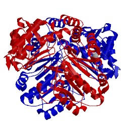 Image of CATH 1qj5