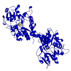Image of CATH 1qjm
