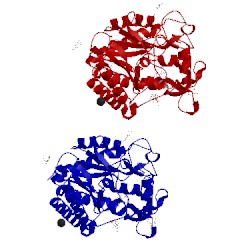 Image of CATH 1qk0