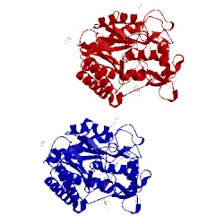 Image of CATH 1qk2