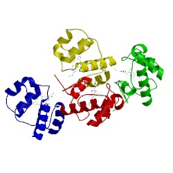 Image of CATH 1ql4