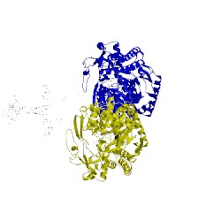 Image of CATH 1qlb