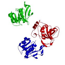 Image of CATH 1qmy