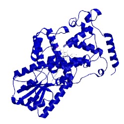 Image of CATH 1qnf