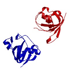 Image of CATH 1qof