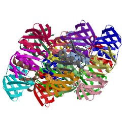 Image of CATH 1qoh
