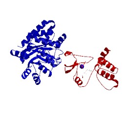 Image of CATH 1qop
