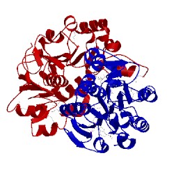 Image of CATH 1qp8