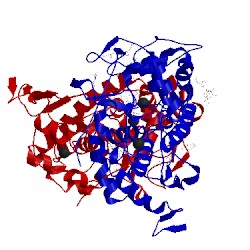 Image of CATH 1qpa