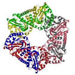 Image of CATH 1qpr