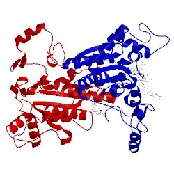 Image of CATH 1qrd