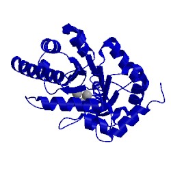 Image of CATH 1qtw