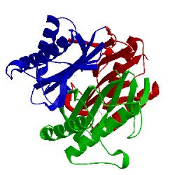 Image of CATH 1qu9