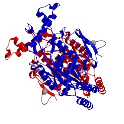 Image of CATH 1qw5