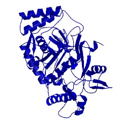 Image of CATH 1qwc