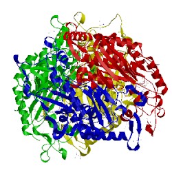 Image of CATH 1qxo